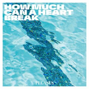 Pegasus_HowMuchCanAHeartBreak